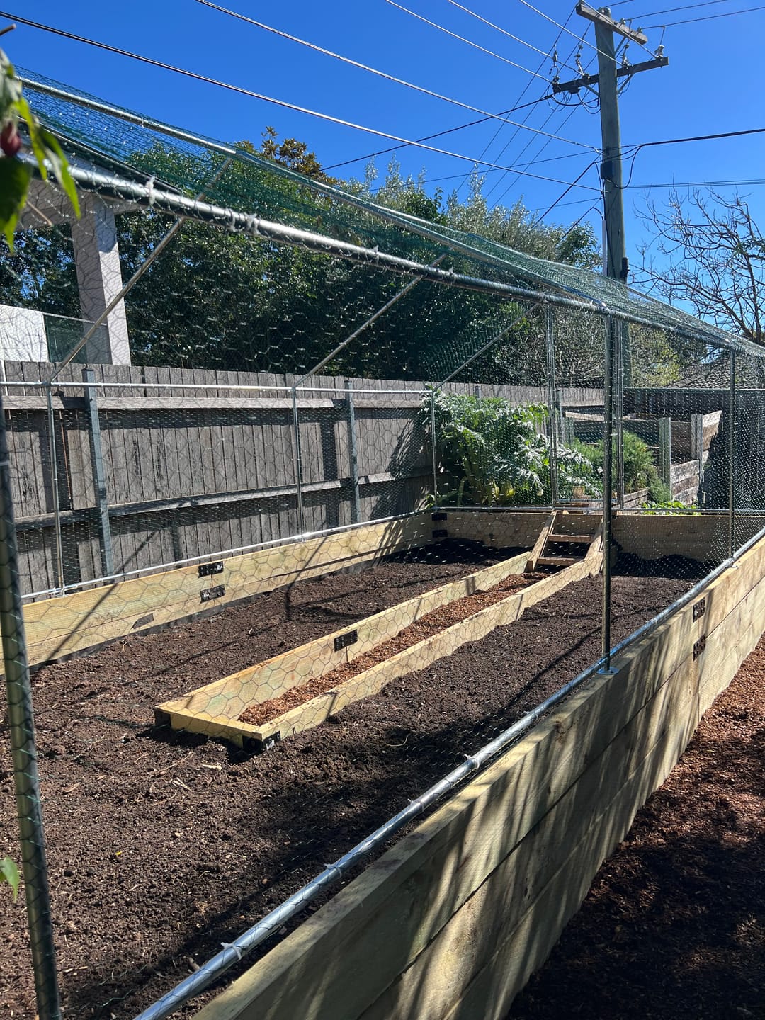 Customer photo review of Pets Gear Metal Galvanised Steel Walk In Chicken Coop 6m x 3m