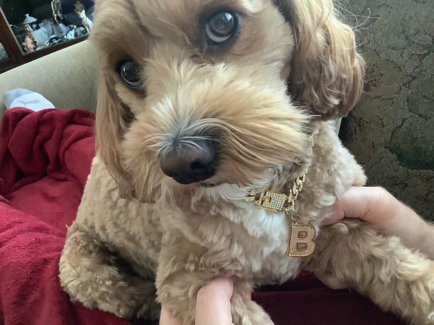 Customer photo review of Initial Letter Jewelry Tag - B