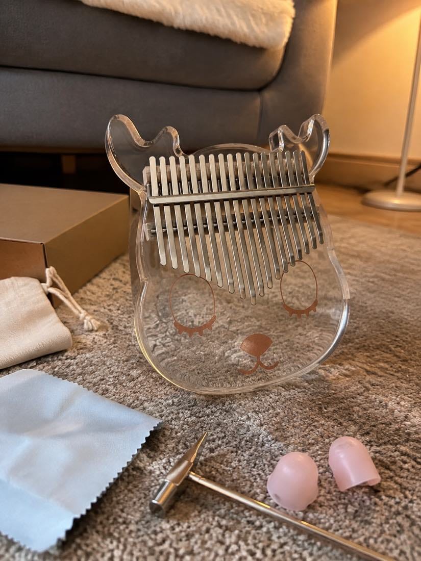 Customer photo review of Kalimba 17 oder 21 Tasten - Acryl, Transparent