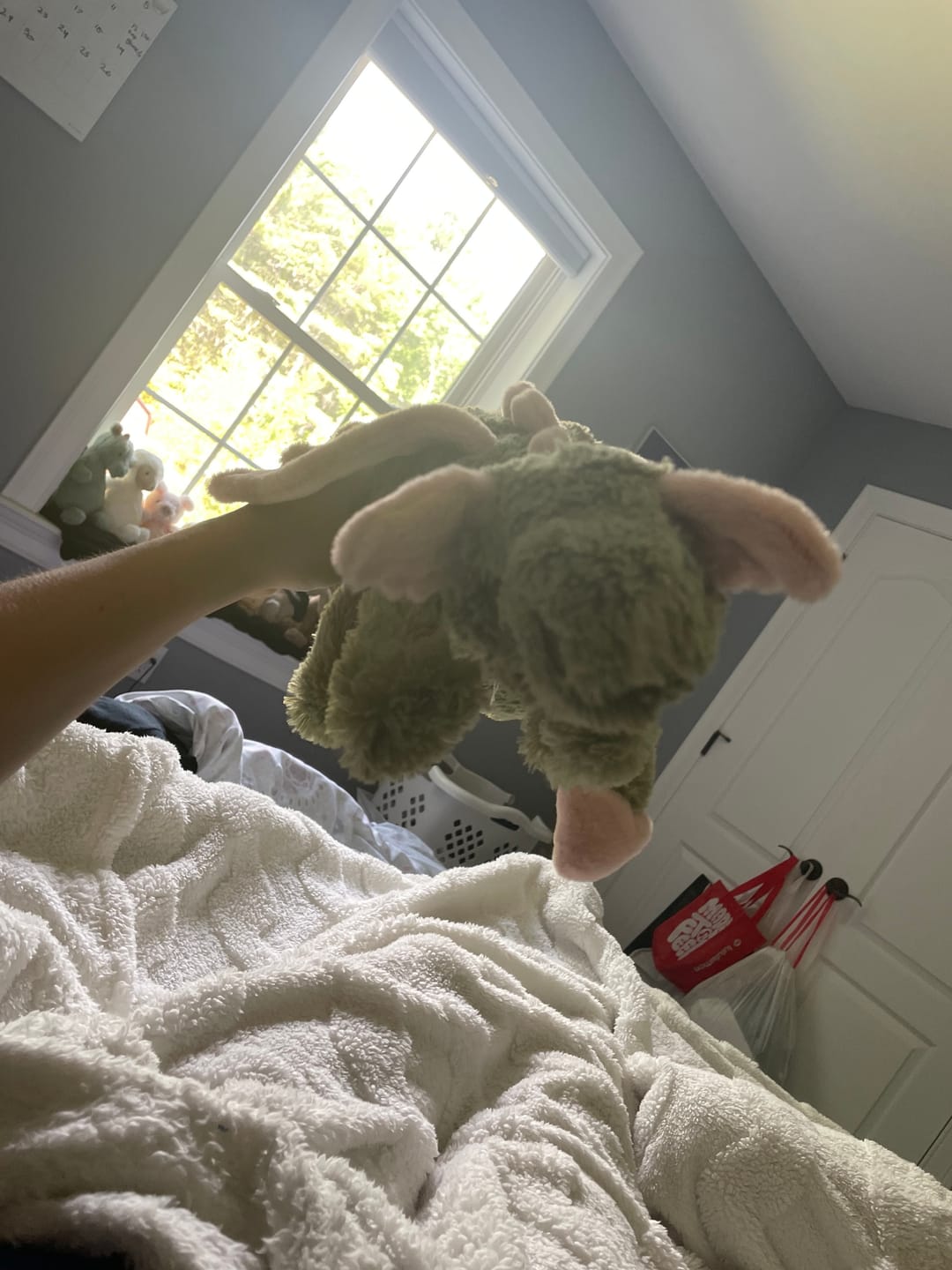 Customer photo review of Malachy Dragon