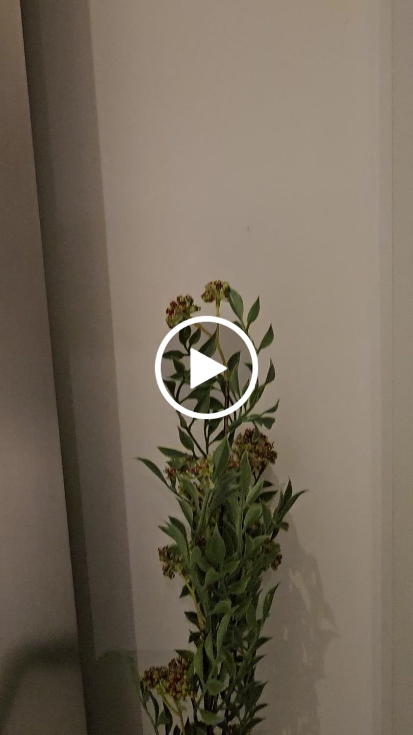 Customer video review of Black Volcanic Large Chizzled Bottle Vase CB4370-55-R633