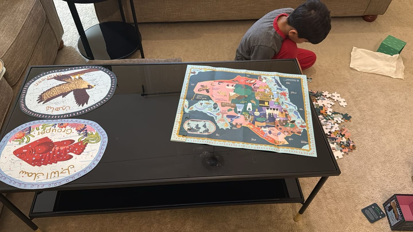Customer photo review of KSA Map Puzzle