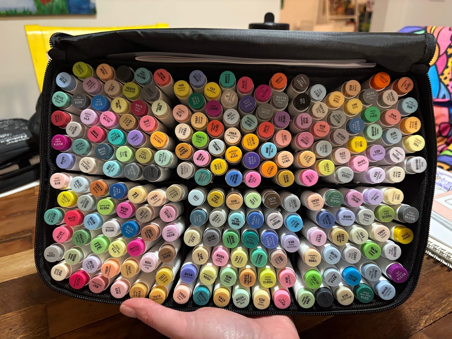 Customer photo review of Ohuhu Honolulu 216 Colors Dual Tips Alcohol Art Markers (New Color Codes)