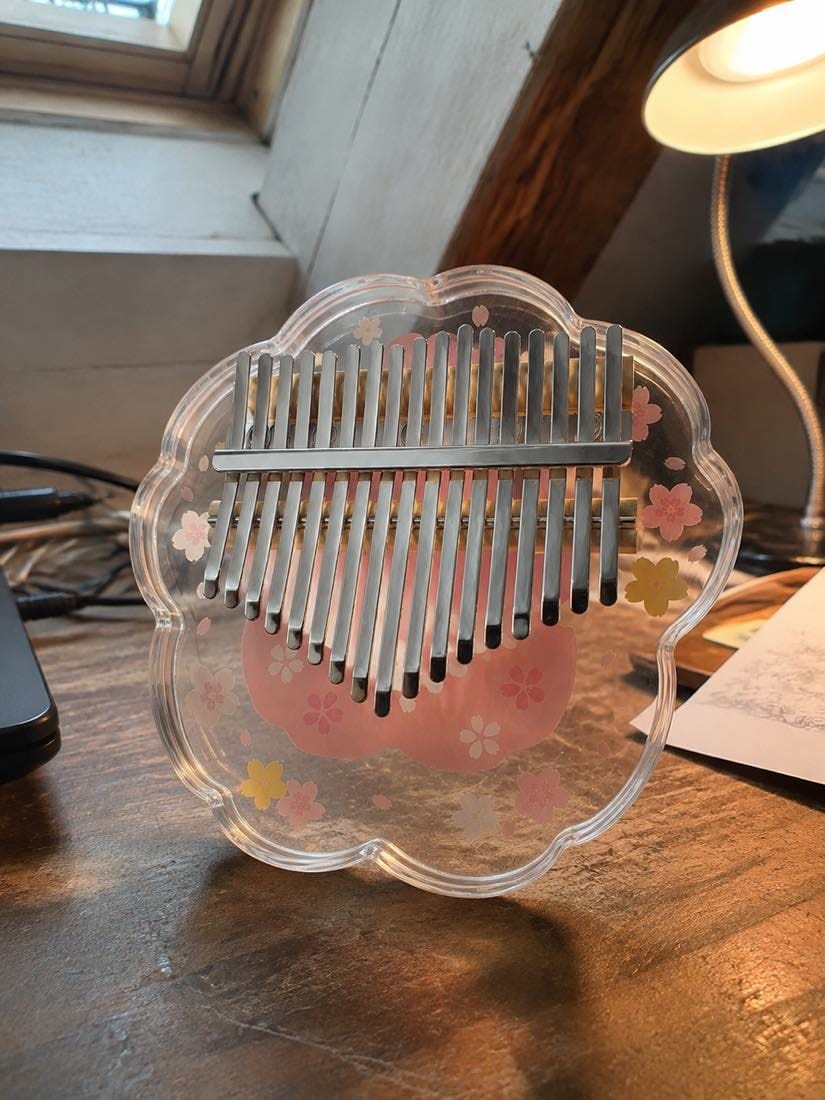 Customer photo review of Kalimba 17 Tasten - Acryl, Design-Edition