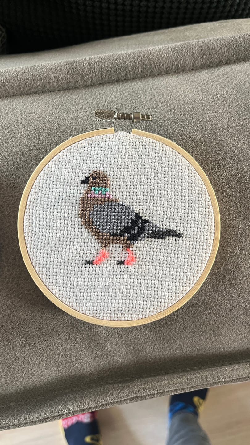 Customer photo review of Pigeon Cross Stitch Kit