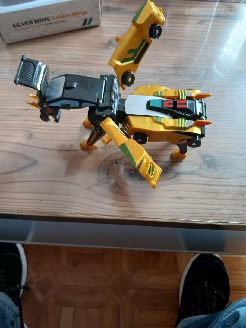 Customer photo review of Fusion Strike Dragons Magnetische Rennwagen | Crash Fusion Drachen Verwandlung Kinder