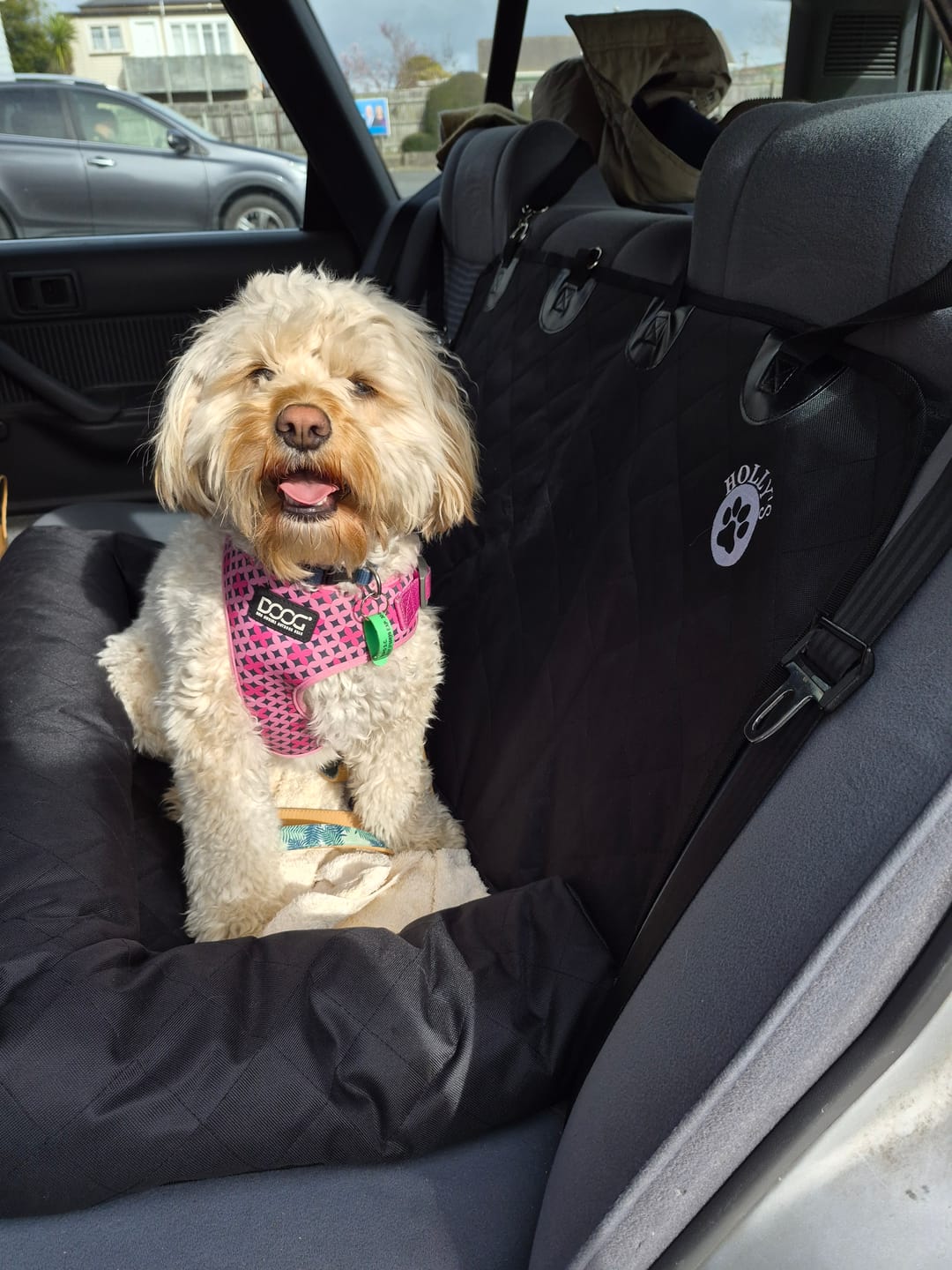 Customer photo review of Car Seat Cover