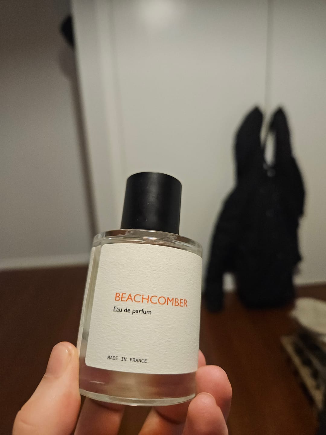 Customer photo review of Beachcomber