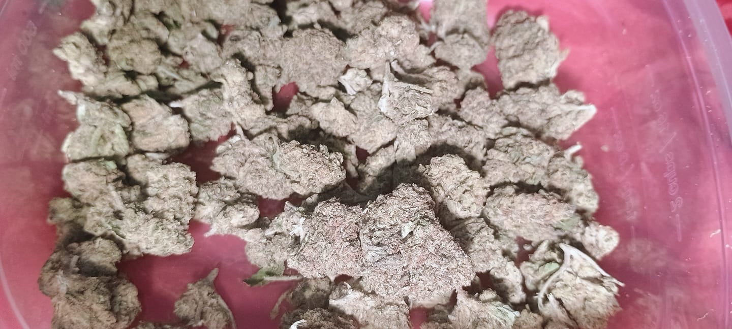 Customer photo review of Cheap THCA Flower Ounce