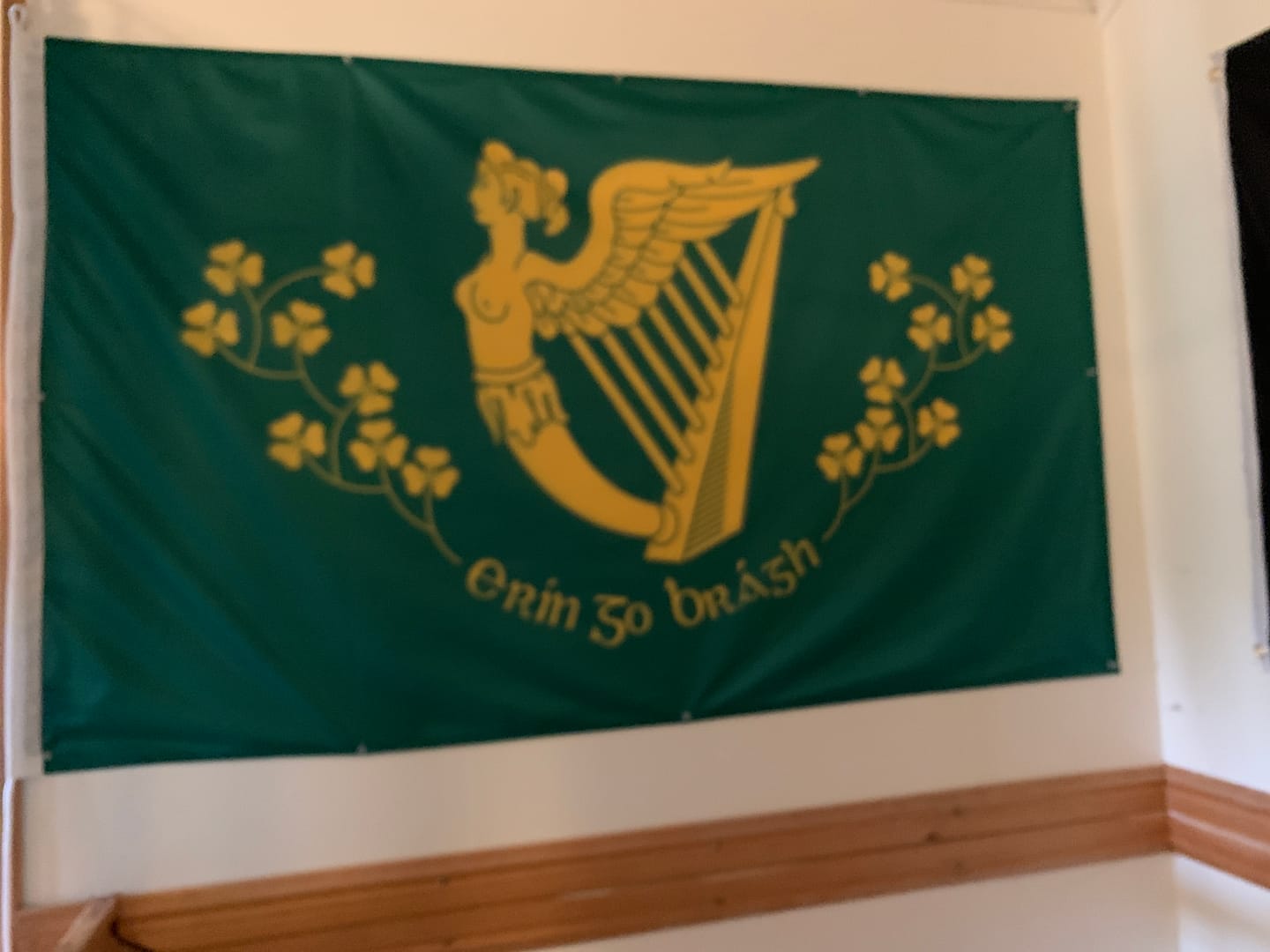 Customer photo review of Erin Go Bragh Flag