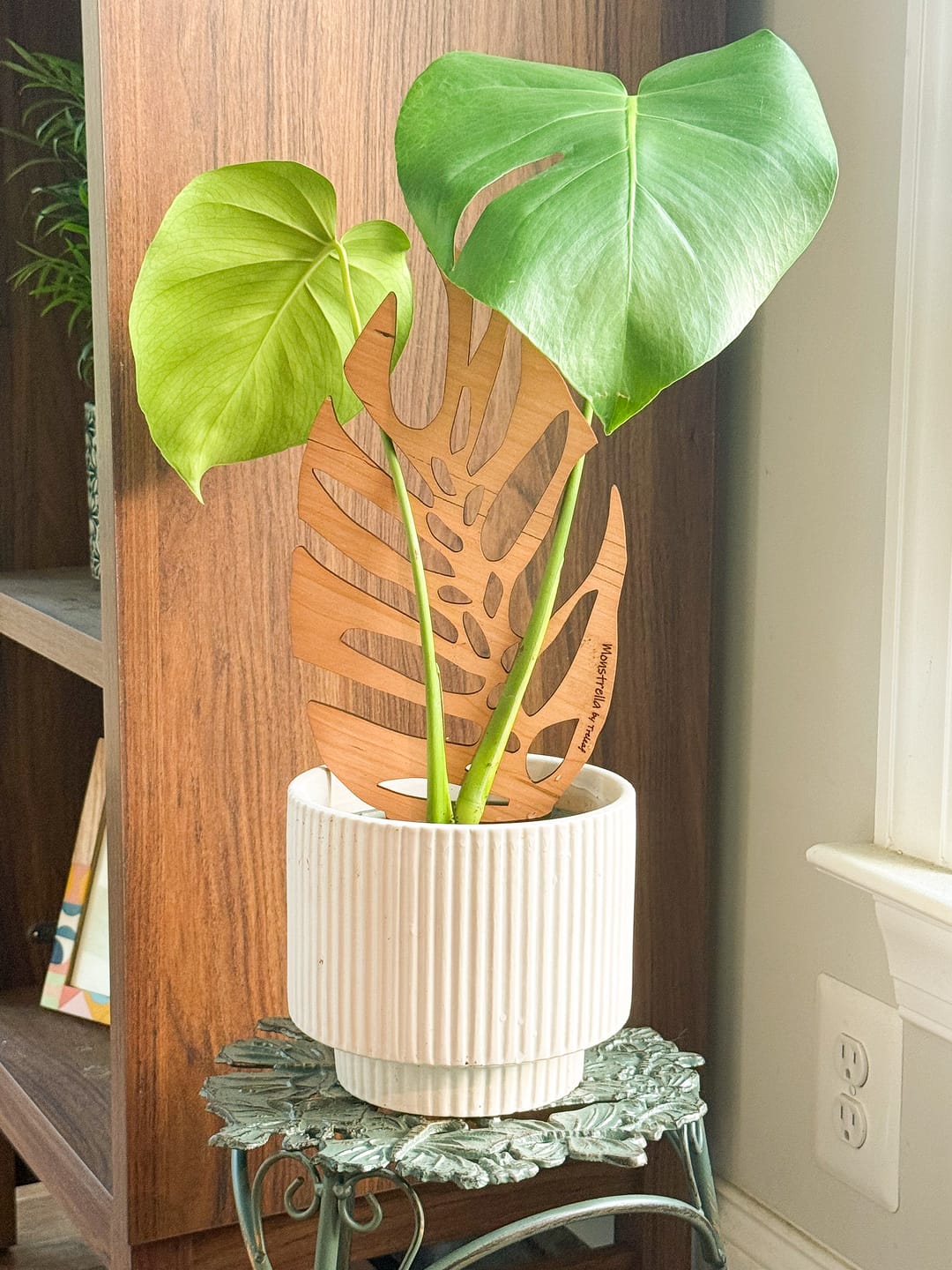 Customer photo review of Monstrella - Plant trellis inspired by the Monstera Leaf
