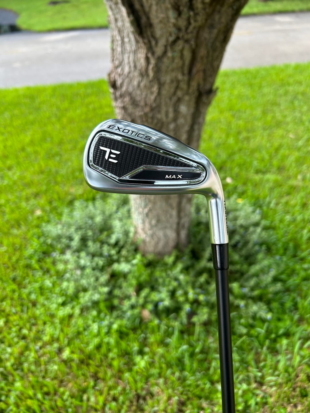 Customer photo review of Exotics Max #7 Iron Demo Offer