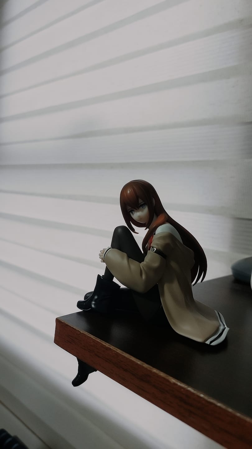 Customer photo review of Steins;Gate - Makise Kurisu - Noodle Stopper Figure (FuRyu)