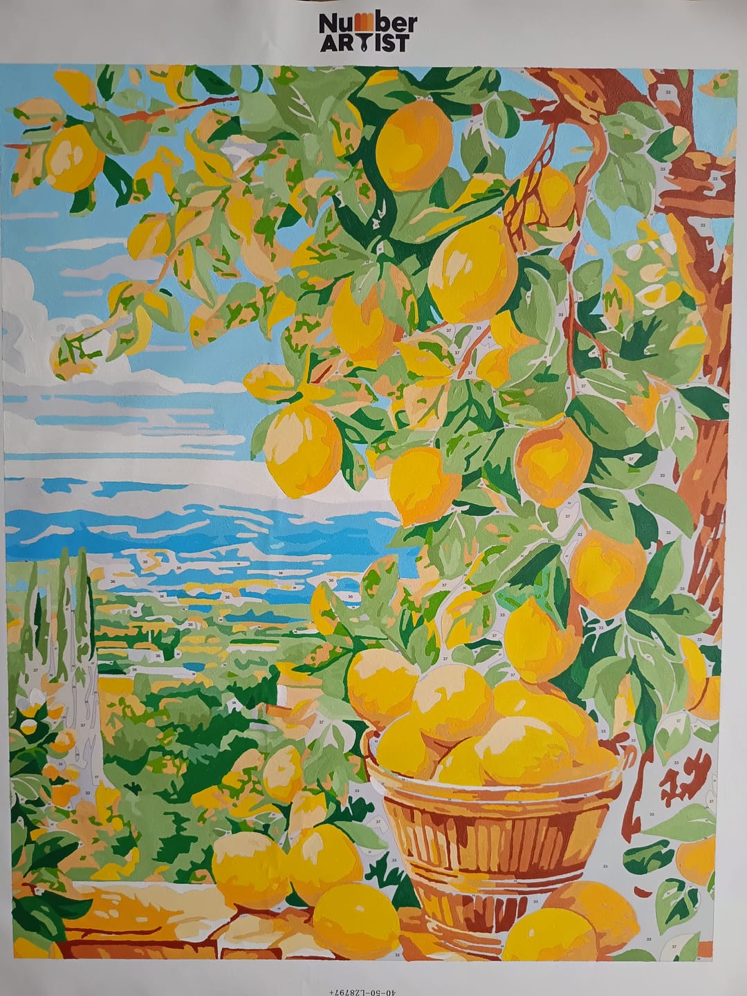 Customer photo review of Bounty Lemons