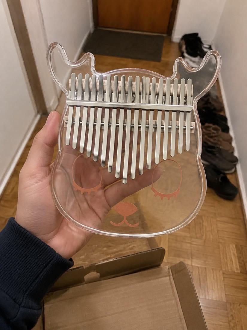 Customer photo review of Kalimba 17 oder 21 Tasten - Acryl, Transparent
