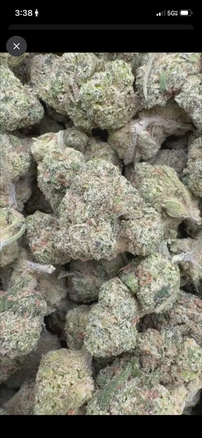 Customer photo review of Double Dream Mediums - Bulk Mediums - Sativa