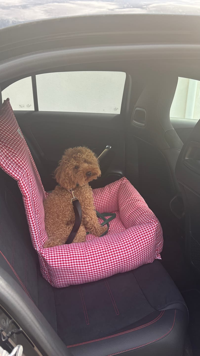 Customer photo review of Seggiolino Auto Cotone Vichy Rosso