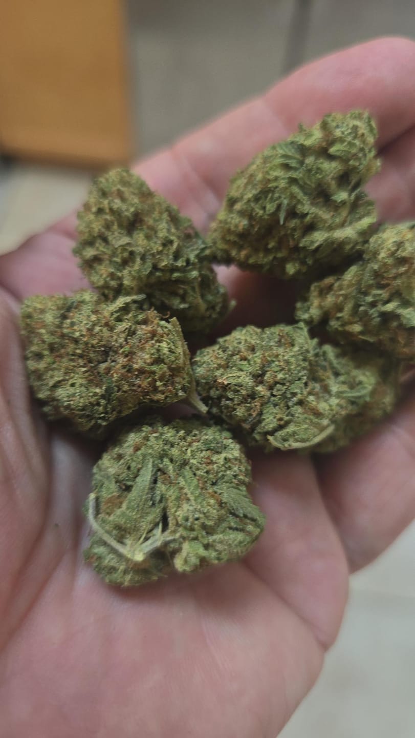 Customer photo review of Candy Gas THCA Flower