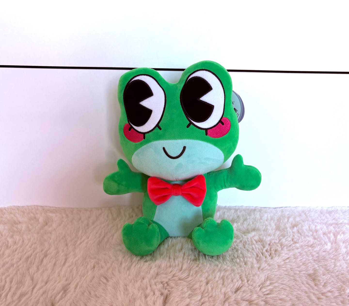 Customer photo review of Ribbit Plush
