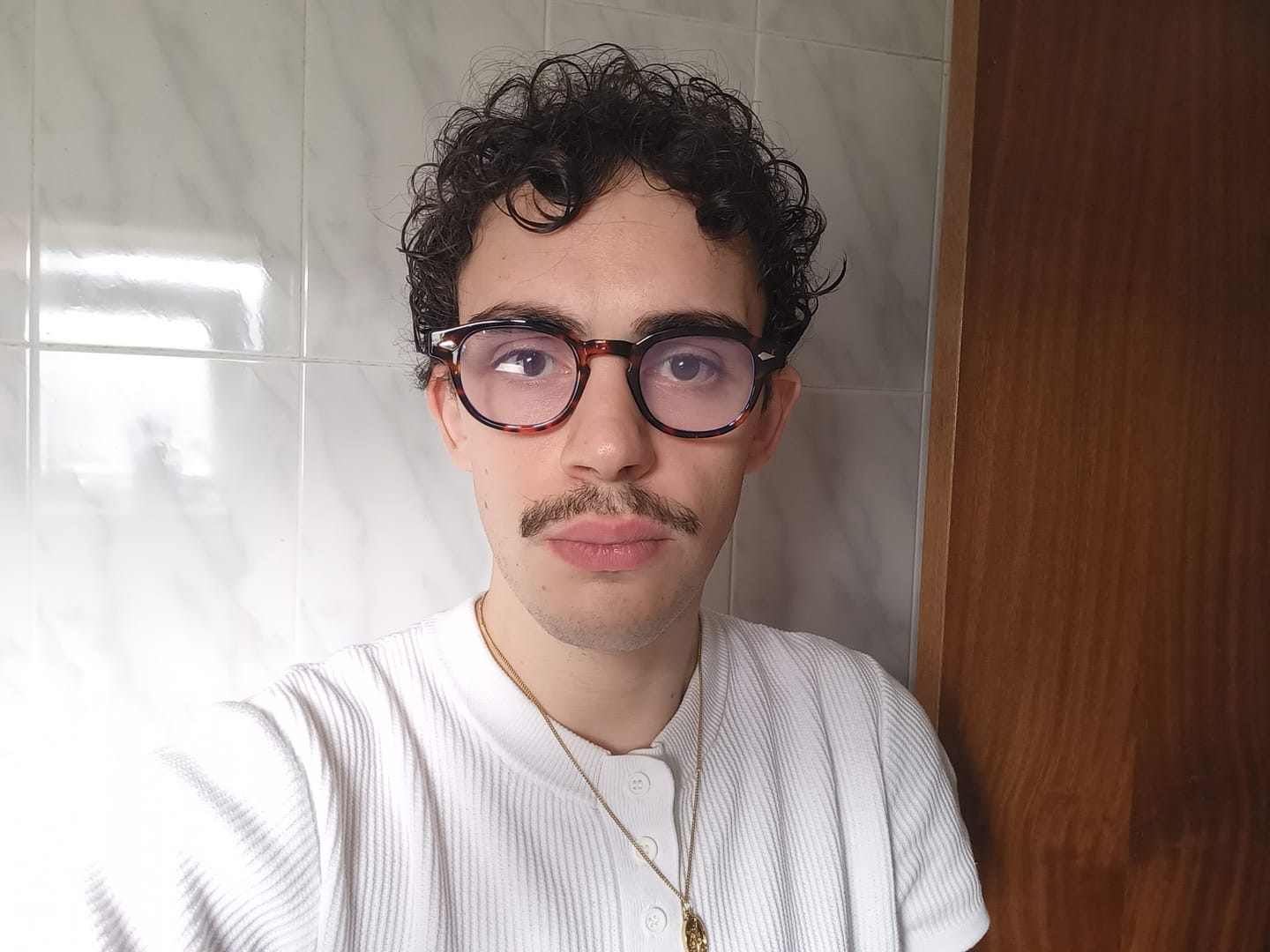 Customer photo review of LE CORBUSIER / TORTOISE  BLUE LIGHT