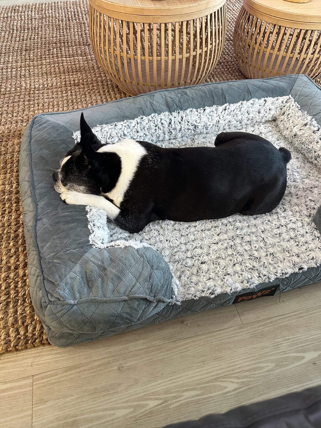 Customer photo review of Orthopedic Memory Foam Dog Bed