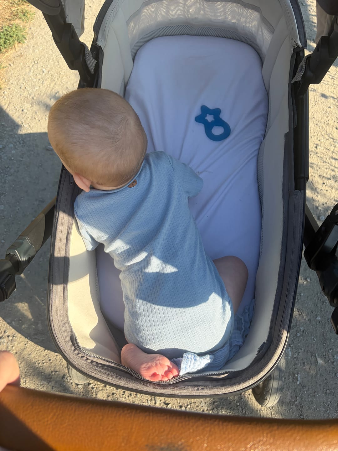 Customer photo review of Kurzarm Body ISA (mitwachsend)