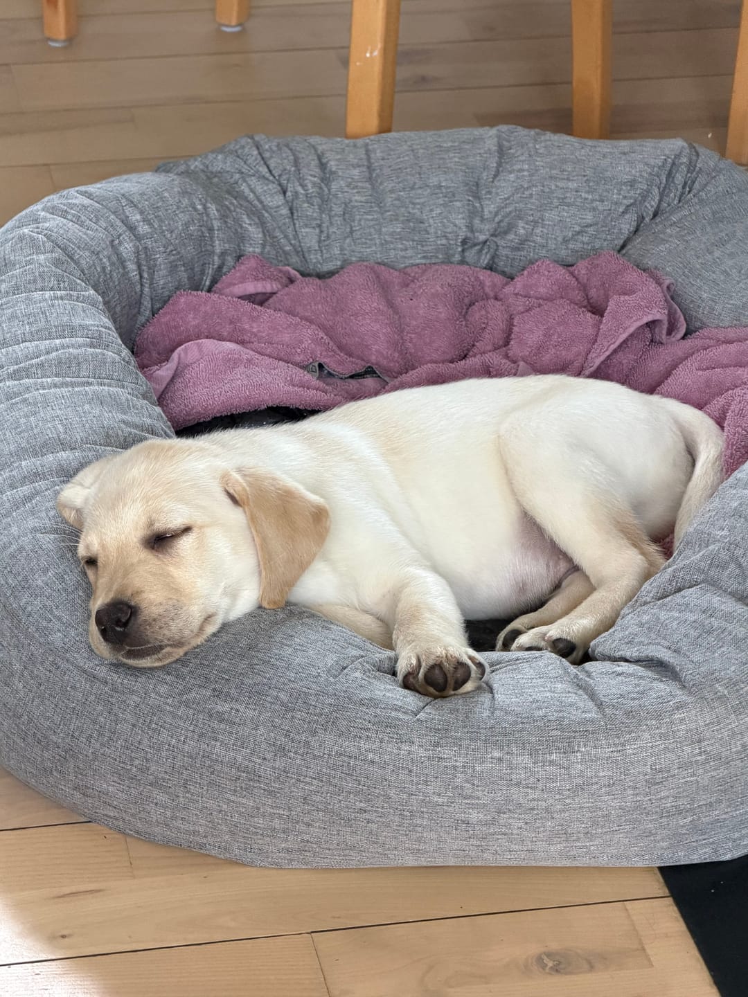 Customer photo review of CalmBed överdrag