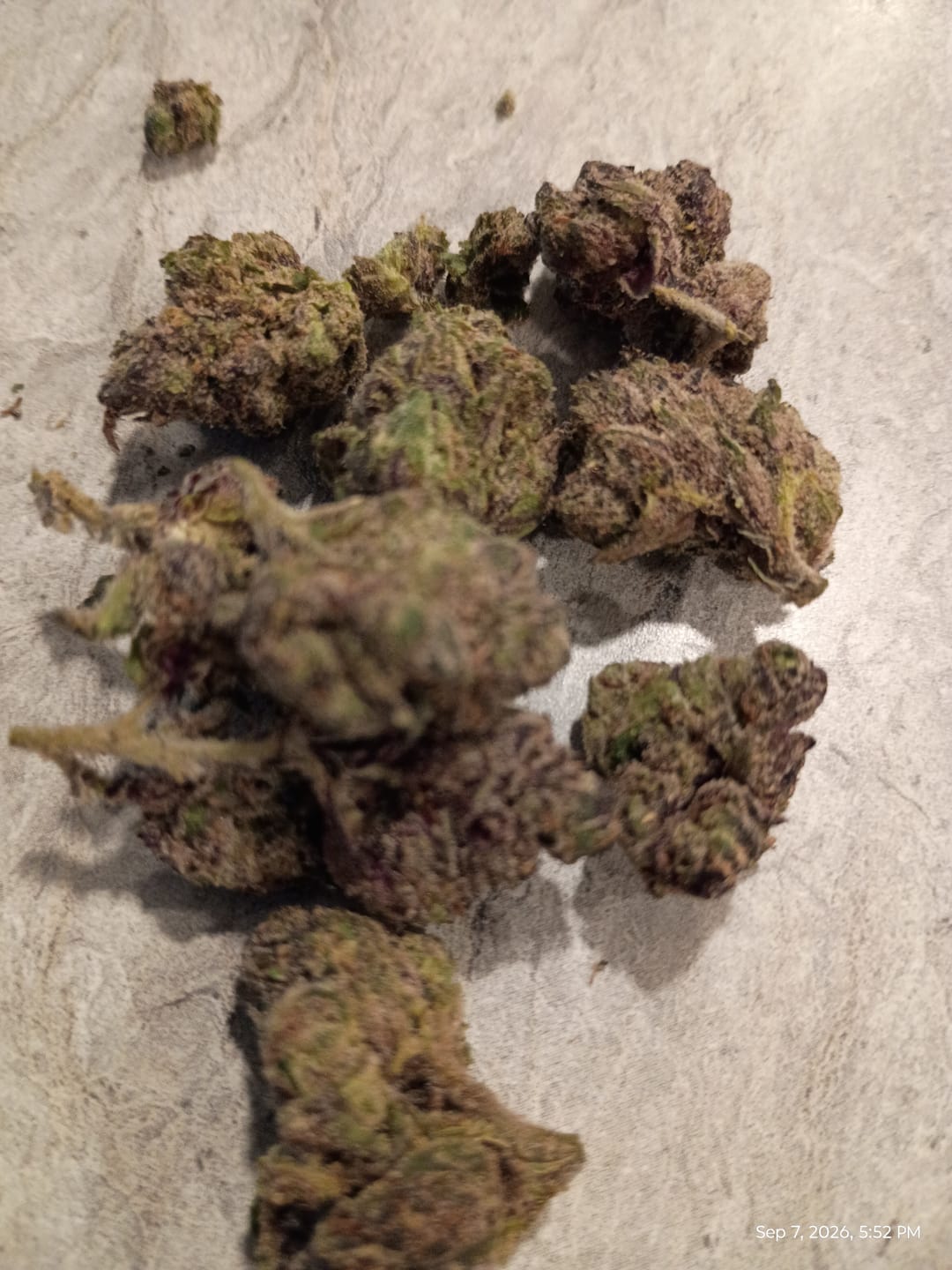 Customer photo review of Boutique Exotics  Uncle Snoop - Bulk - Hybrid