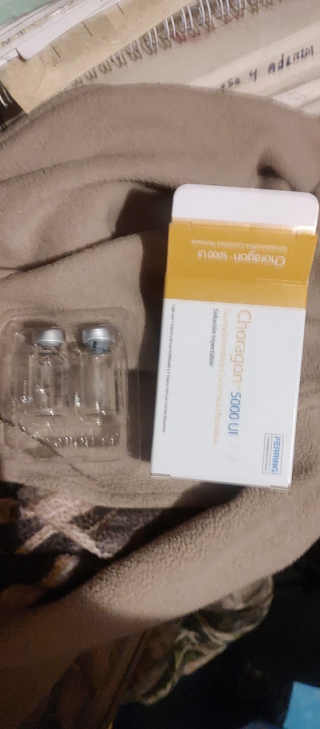 Customer photo review of Choragon | Gonadotropina coriónica humana (HCG) 5,000ui