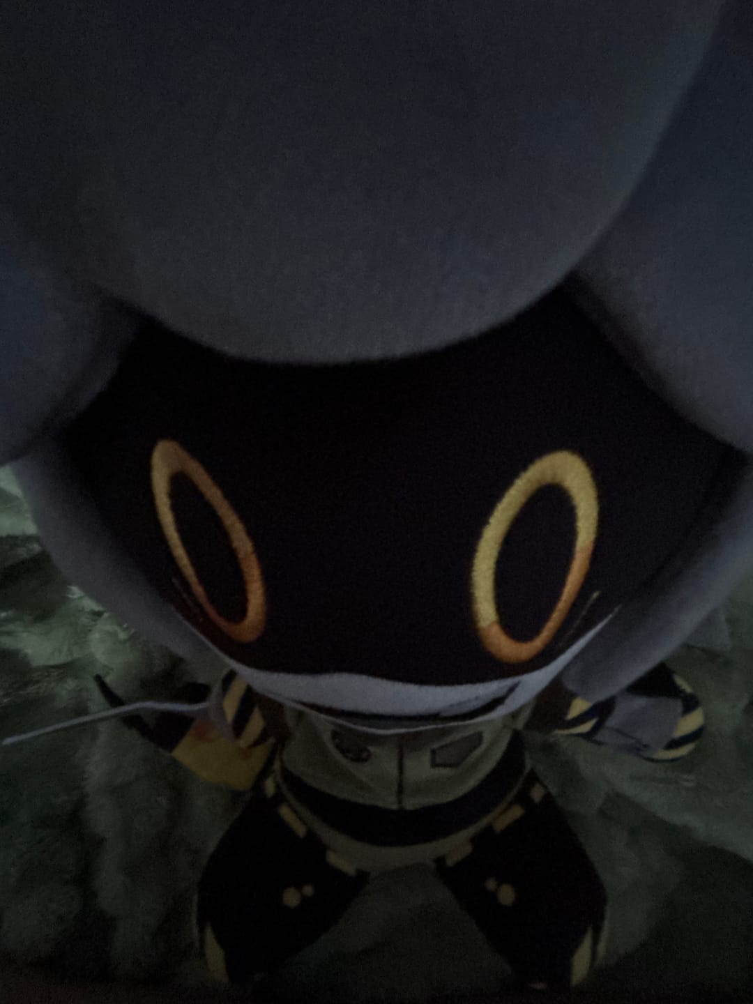 Customer photo review of V Camping Plush
