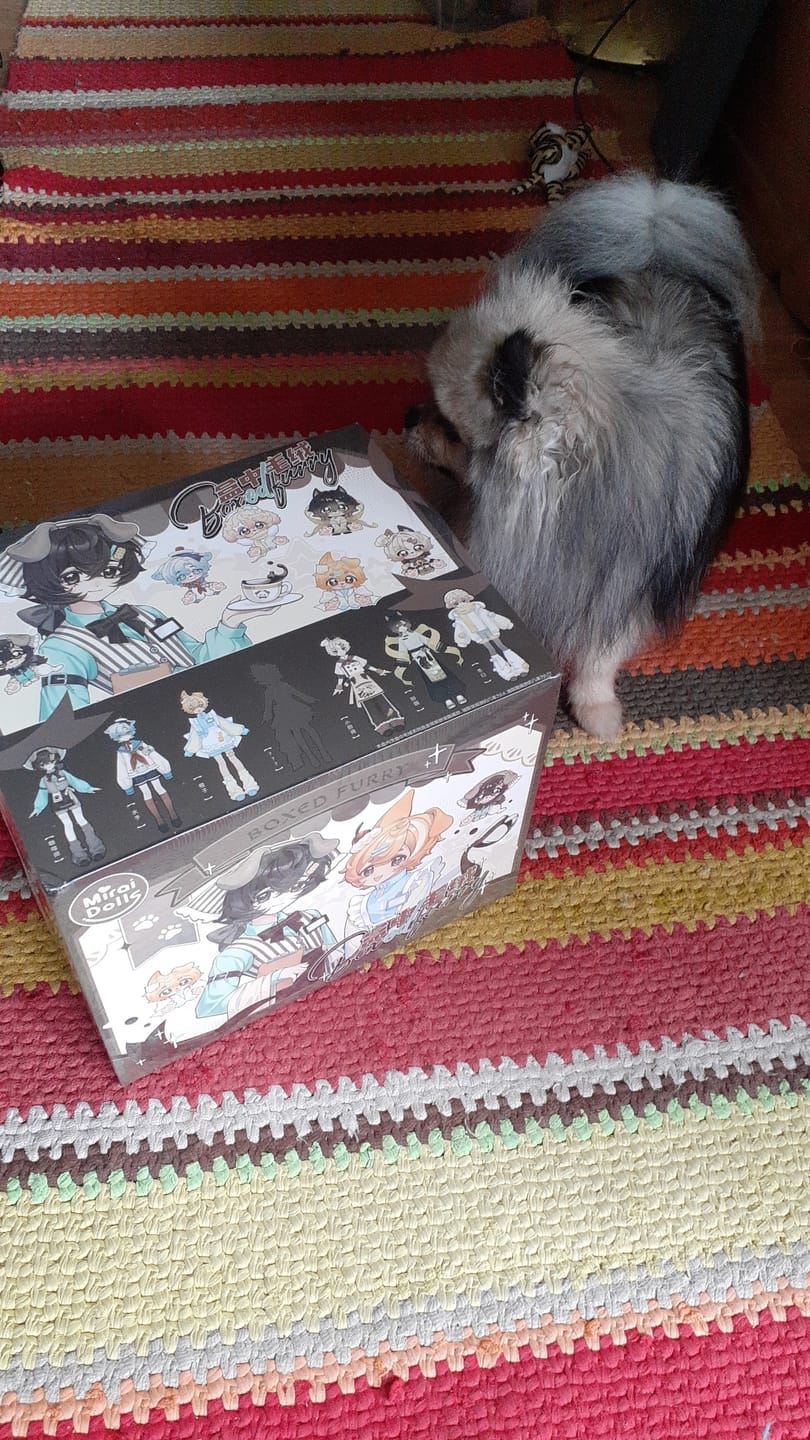 Customer photo review of Boxed Furry Series 1/8 Action Figure BJD Blind Box【Shipped in Jul./Aug. 2026】