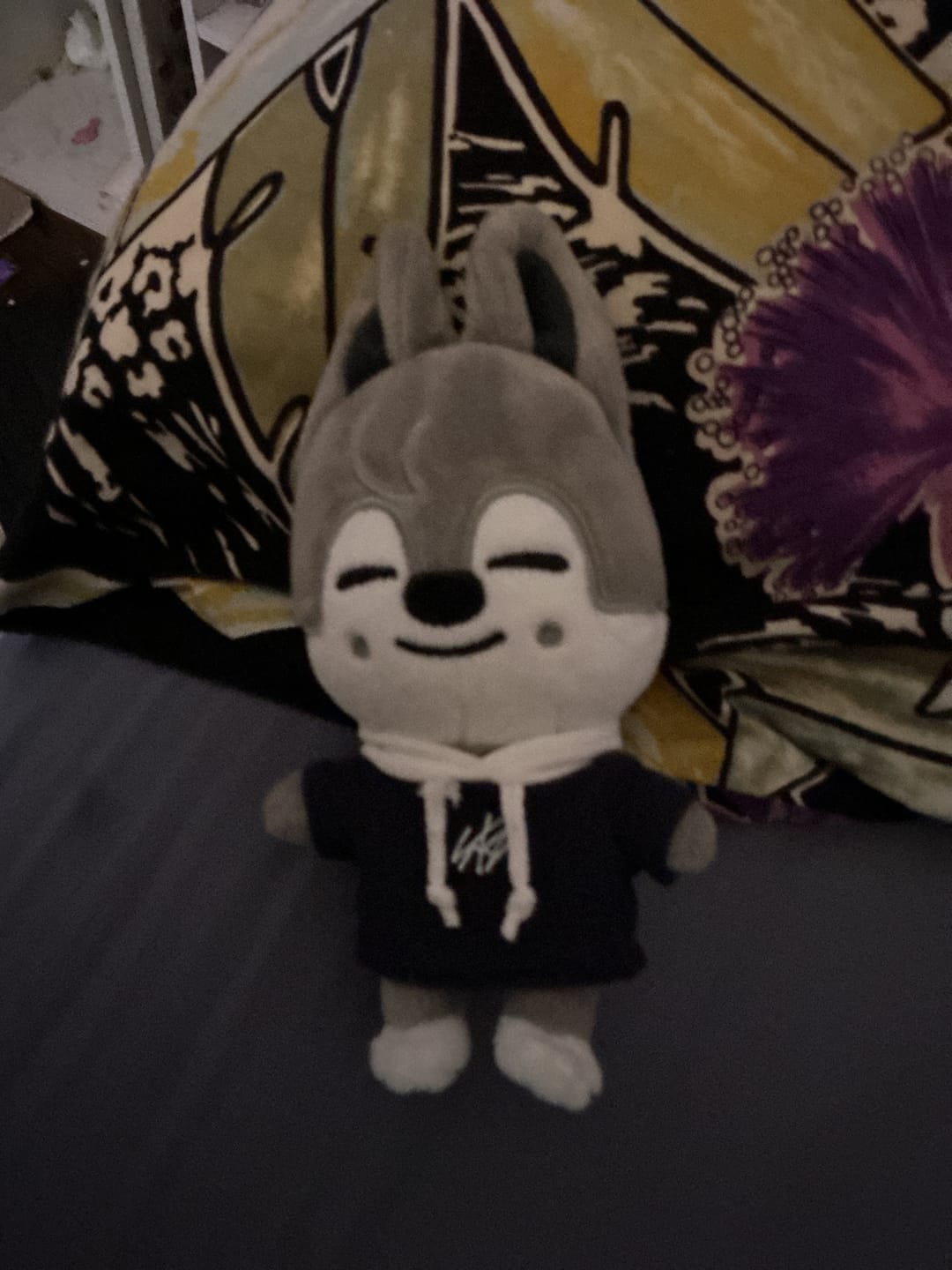 Customer photo review of Stray Kids - SKZOO PLUSH MINI Ver.