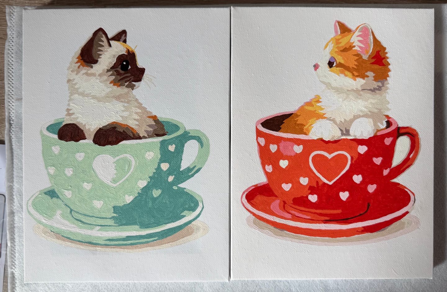 Customer photo review of 6 Mini-Gemälde | Süße Katzen in Tassen Set