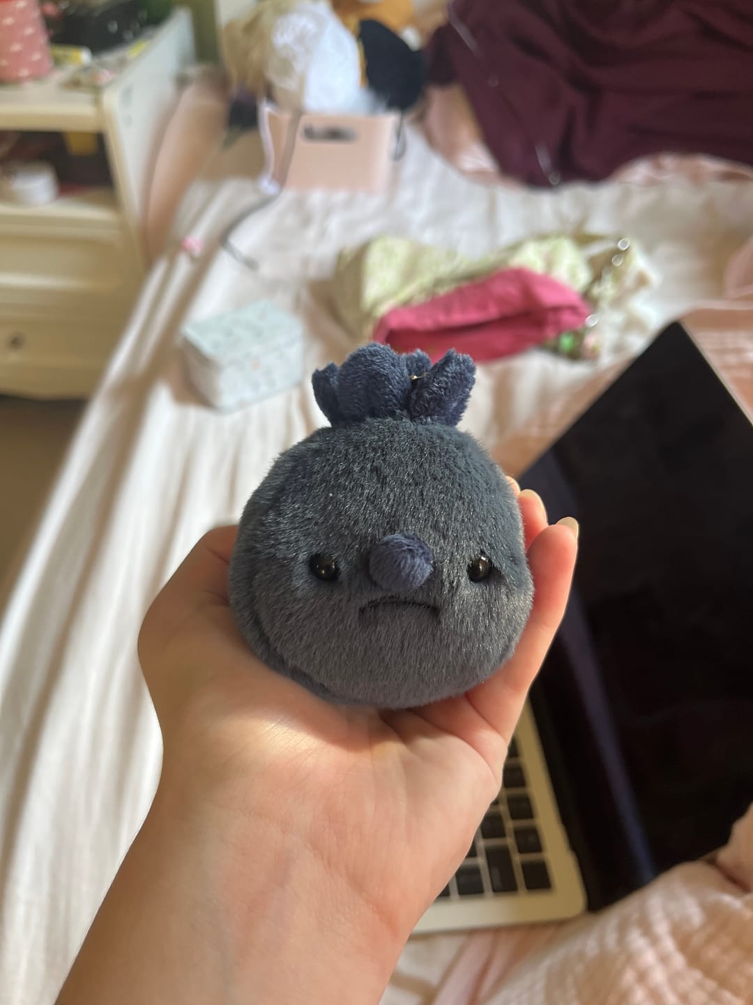 Customer photo review of Forgotten Single Blueberry