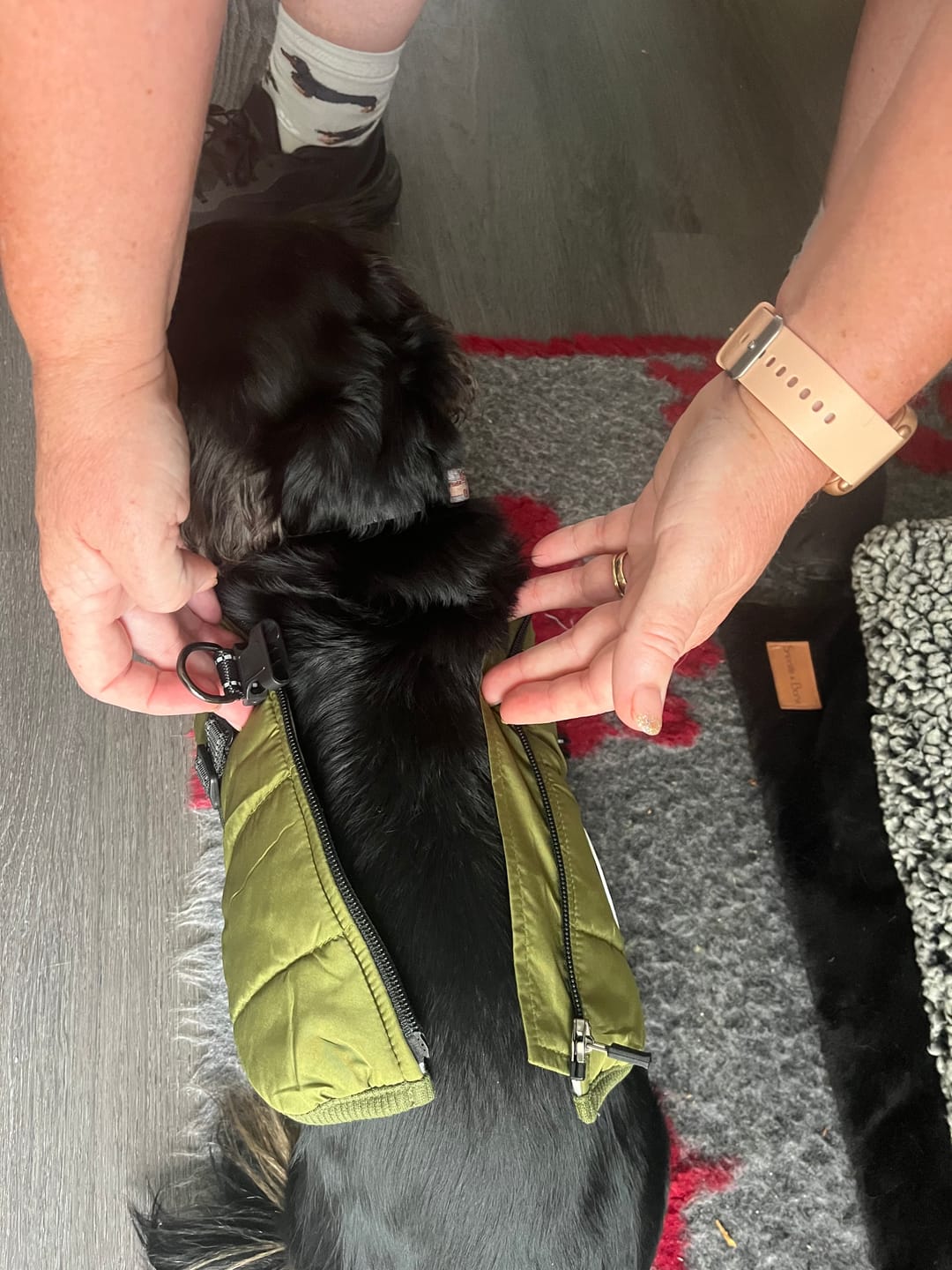 Customer photo review of DoggyKings™ 3 in 1 Jacket