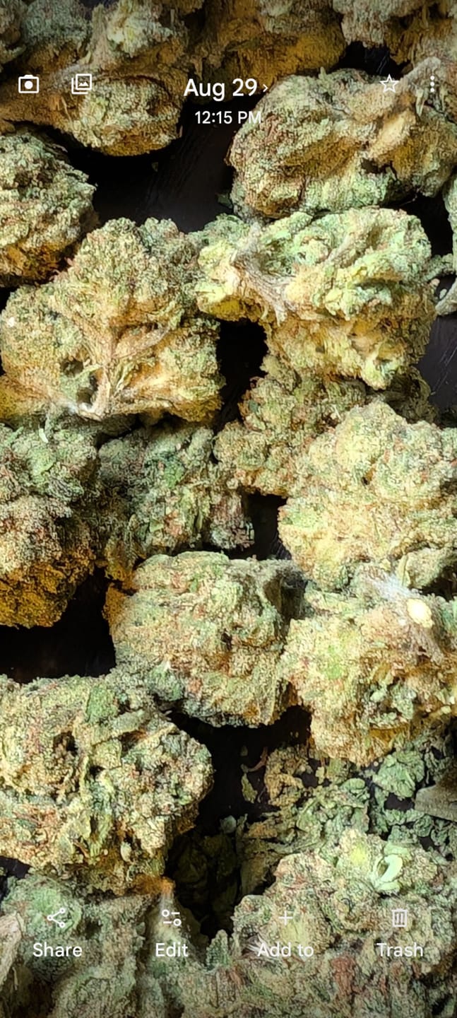 Customer photo review of Blue Sharpiez THCA Flower