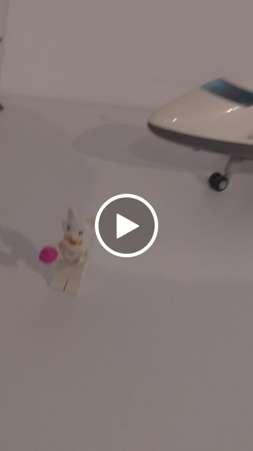Customer video review of SERIE 28: ANIMALES
