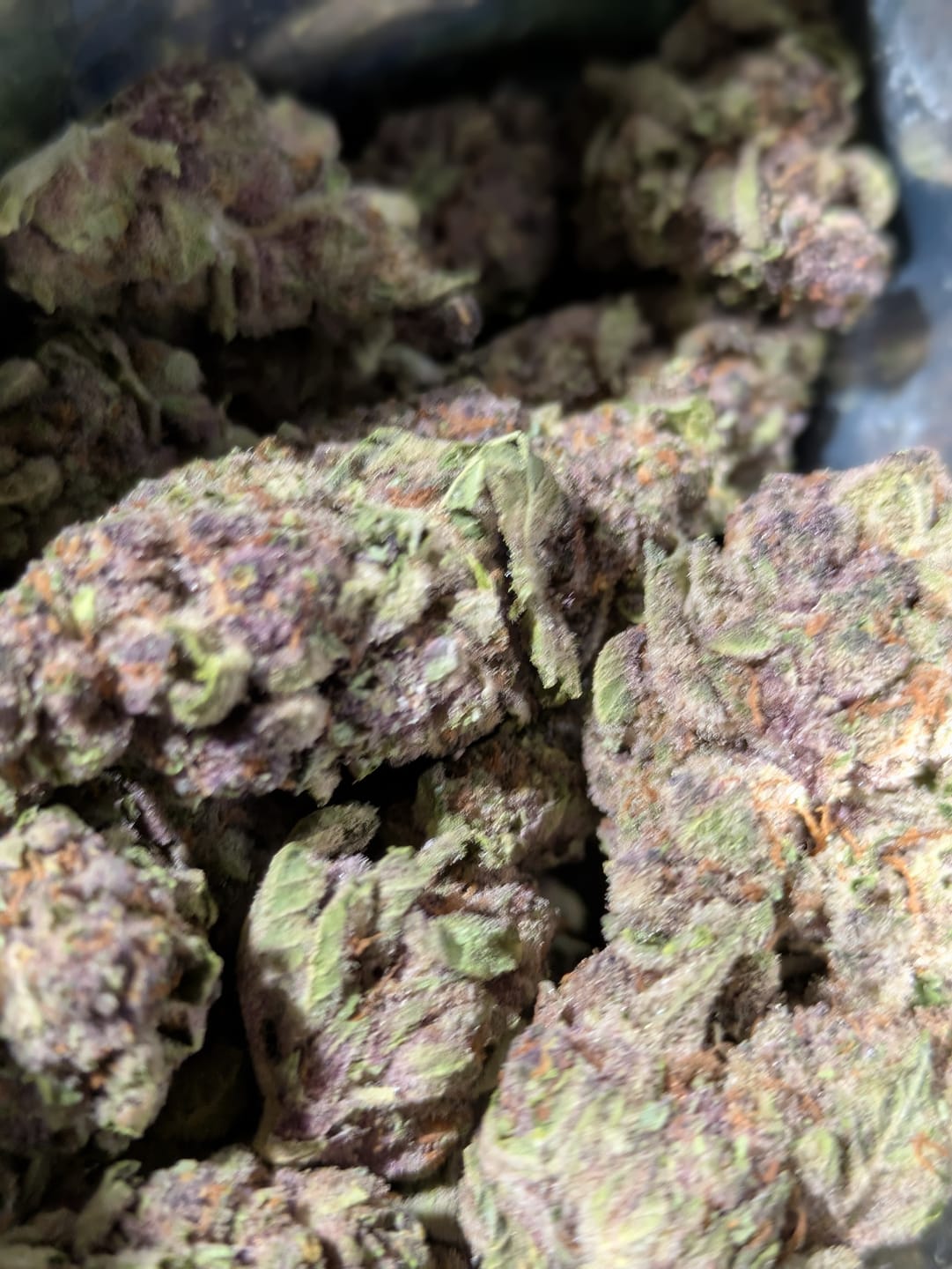 Customer photo review of Tropicana Cherry THCA Flower