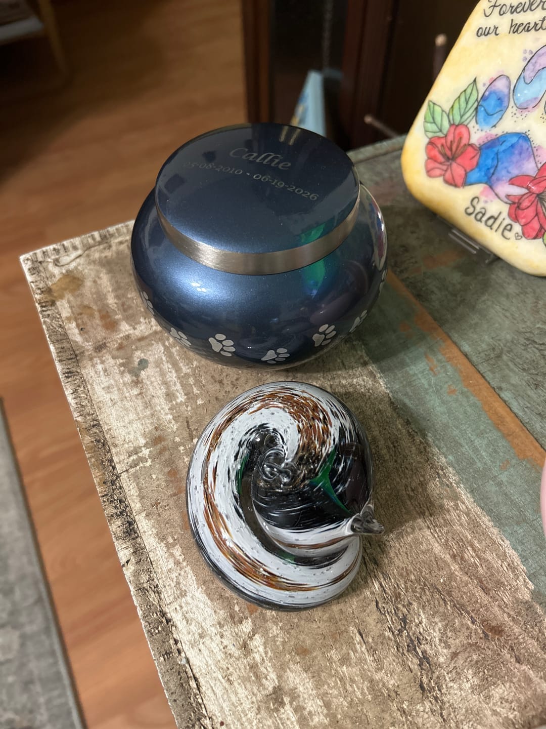 Customer photo review of Calico Sleeping Cat with Infused Cremation Ashes