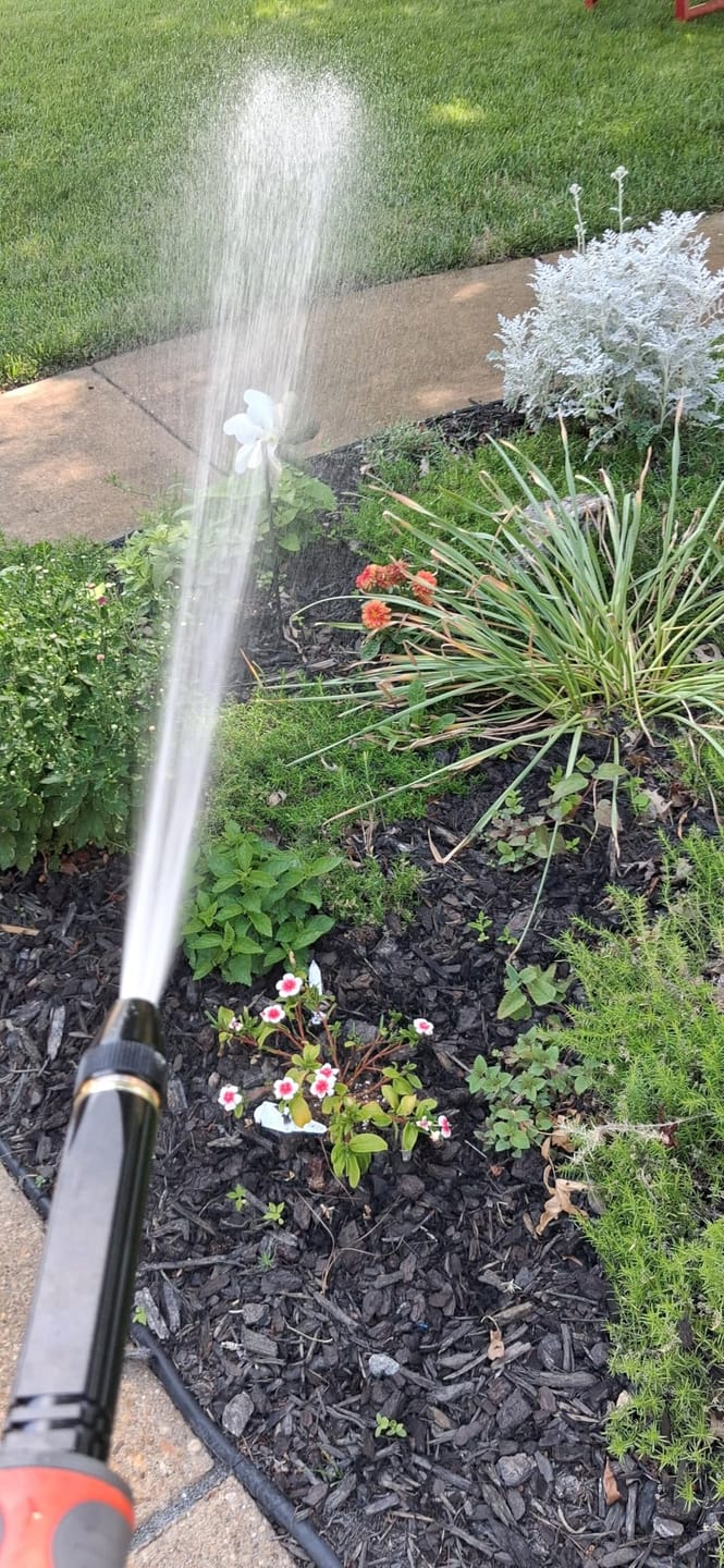 Customer photo review of JetCleaner™