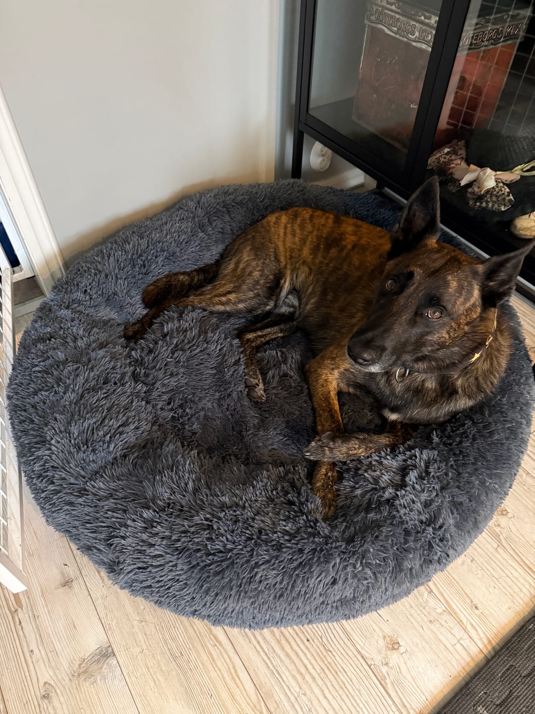 Customer photo review of CalmBed överdrag