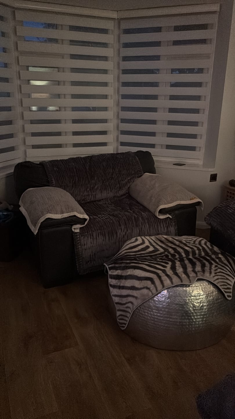 Customer photo review of LuxeLounge™ Couch Cover