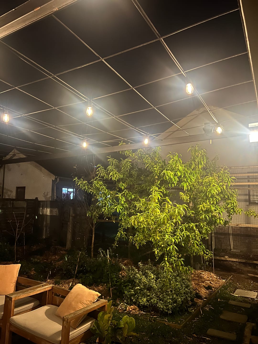 Customer photo review of Solar Festoon Bulb String Lights
