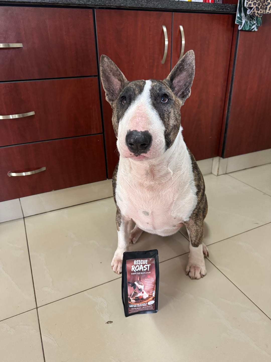 Customer photo review of A Bold Best Friend (Adora-Bull Bull Terrier Rescue) #3