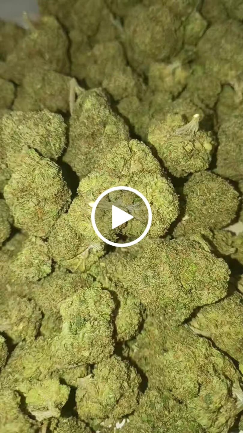 Customer video review of Sour Tangie THCA Flower