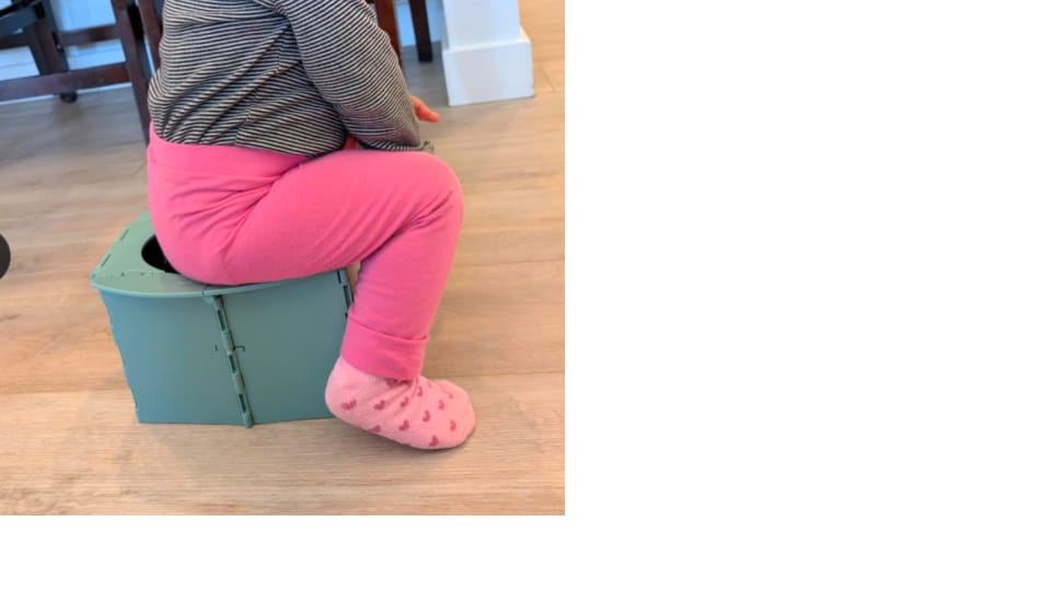 Customer photo review of NestGo! – Foldable Travel Potty
