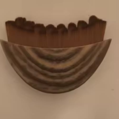 Customer photo review of Cepillo Para Masajes de Drenaje Linfatico