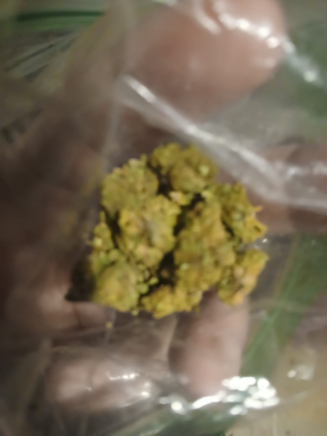 Customer photo review of Cheap THCA Flower Half Pound