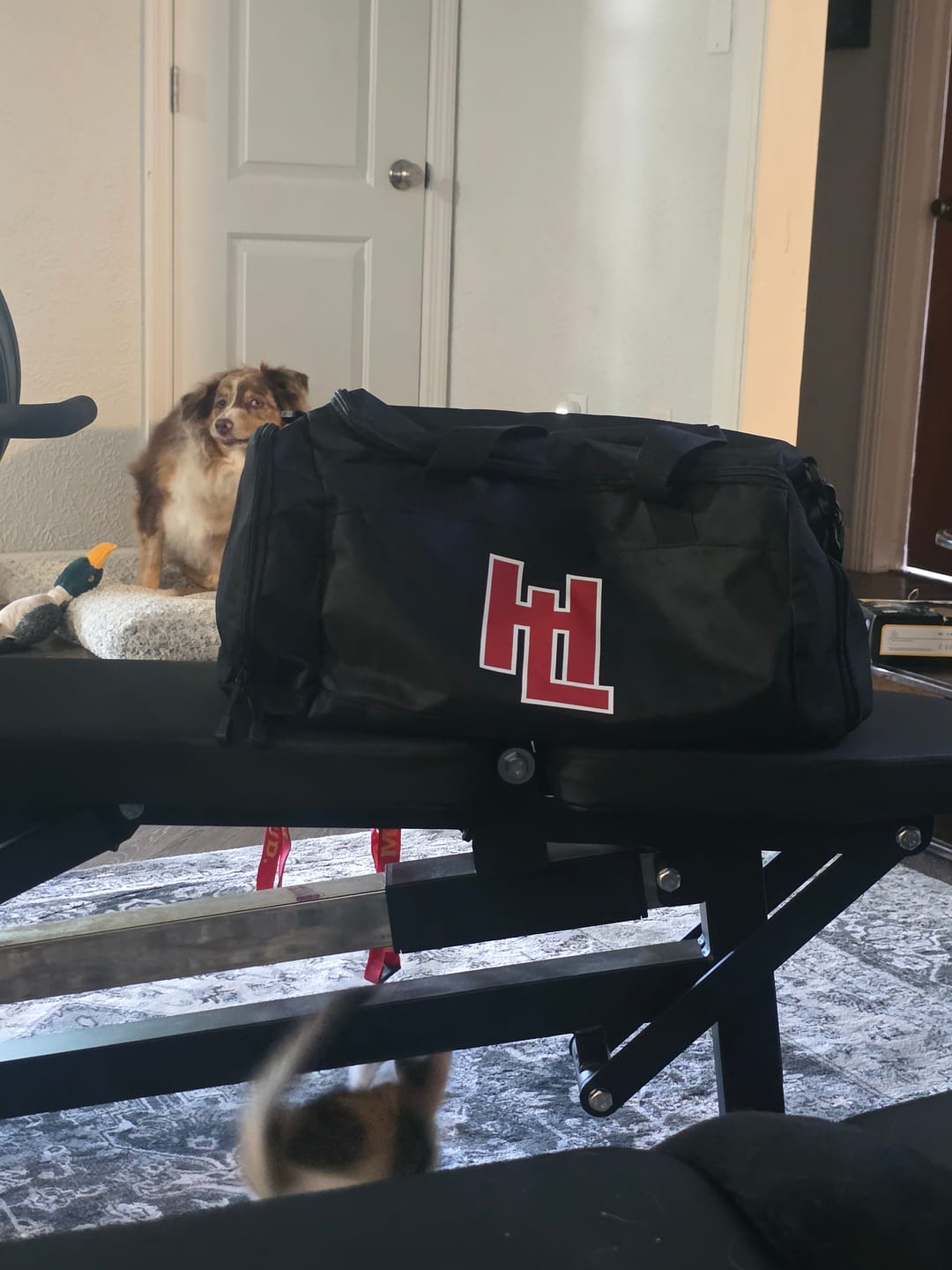 Customer photo review of HitLab Gym Bag