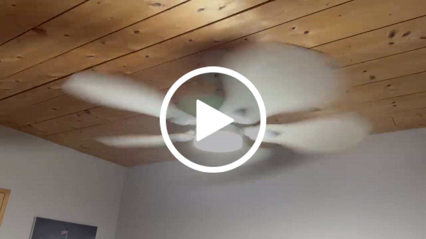 Customer video review of Anémone | Ventilateur de plafond